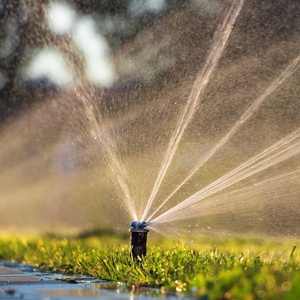 Home - Pro Sprinkler Services